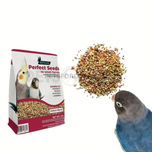 Birdie Perfect Seeds For Small Parrots