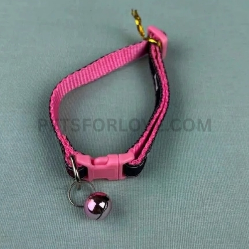 Cat Collar with Bell