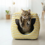 Cozy Cat House Cum Bed With Furr