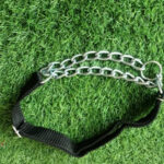 Martingale Dog Collar