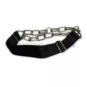 Martingale Dog Collar