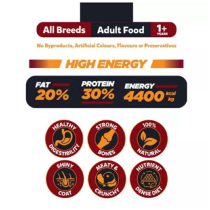Big Paw High Energy – 20 KG