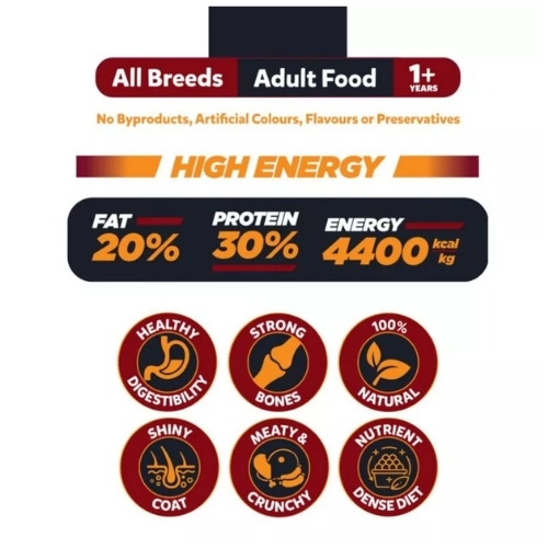 Big Paw High Energy – 20 KG