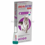 Bravecto Plus Flea & Worm for Cats