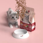 Pet Flori Chicken & Vegetable Cat Food